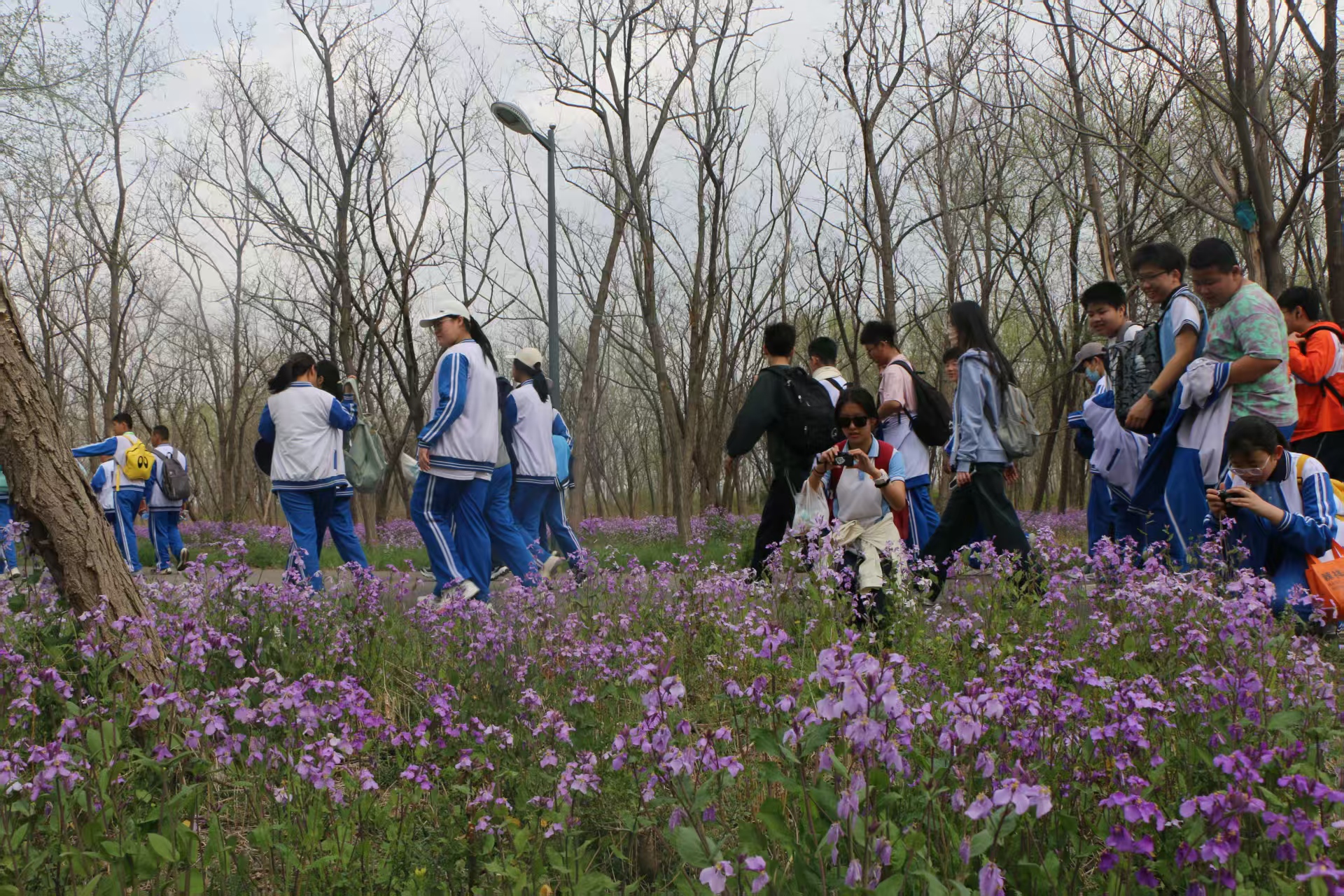 1744426290481303.jpg b6c621b0f5d54e8a8b7e324c82c3716.jpg