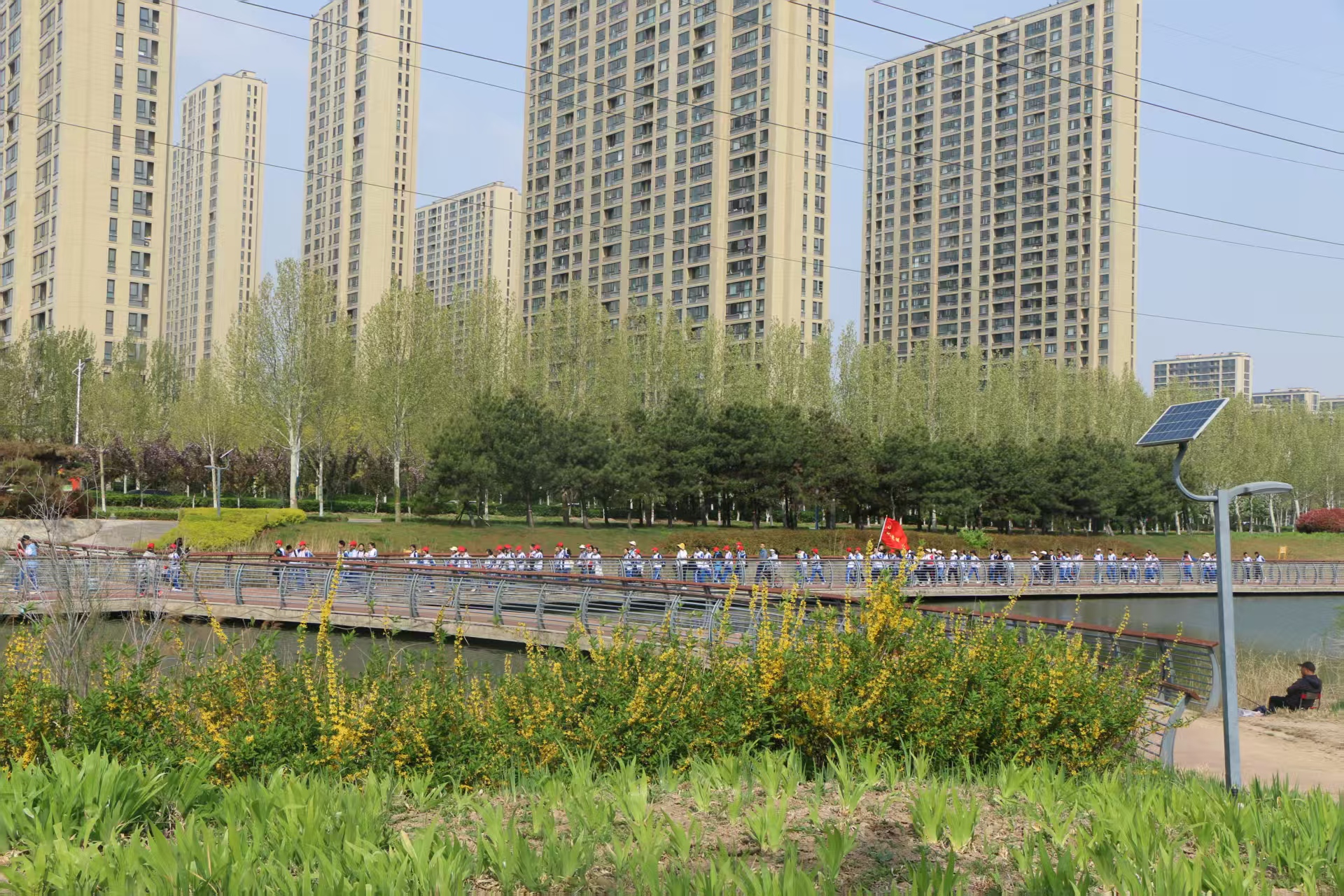 1744426356152884.jpg 3a4da6b37a5bbc7f78bf4cb50f0b6fc.jpg