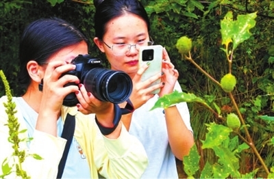 1761728787492133.jpg 0ab5fe7581a2887c958f4a23c472205c_f44d305ea0a62a6bb75d06.jpg