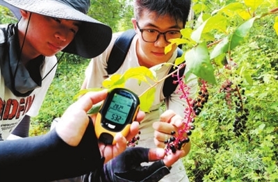 1761728803566194.jpg 2a36ac43adc2818a6baa2eae8668c4fa_f44d305ea0a62a6bb76011.jpg