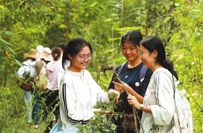 1761728838447198.jpg 2c3ab7051a0c560b33ca08ad232a5433_f44d305ea0a62a6bb76527.jpg