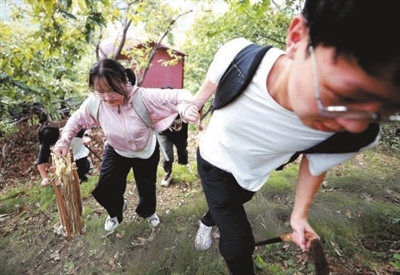 1761728872669940.jpg d57d9cb2a6c9943aa99944038d0a38dd_f44d305ea0a62a6bb76732.jpg