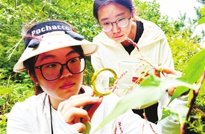 1761728886109803.jpg 0064125b53d4a94fbc7f5d0f8ad036e1_f44d305ea0a62a6bb7693d.jpg