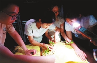 1761728900353636.jpg de6e2f80d587963a21261d9eac07201e_f44d305ea0a62a6bb76b48.jpg