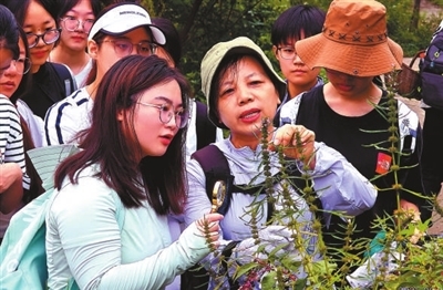 1761728951461832.jpg cd48a5e452427e206e06ef4b4b8e2a0f_f44d305ea0a62a6bb76f5e.jpg