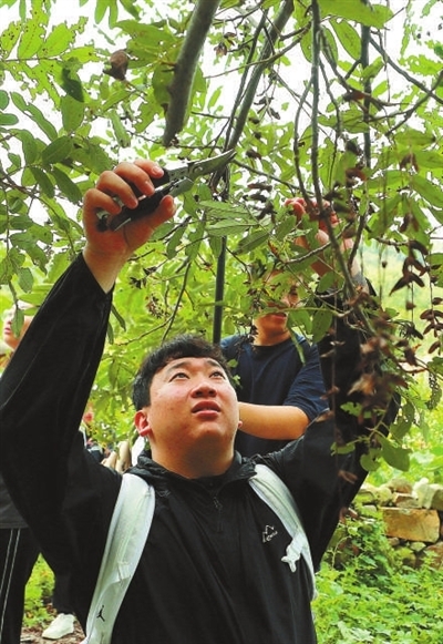 1761728967534133.jpg 3d647e06821d6f479d390744581e8cac_f44d305ea0a62a6bb77105.jpg